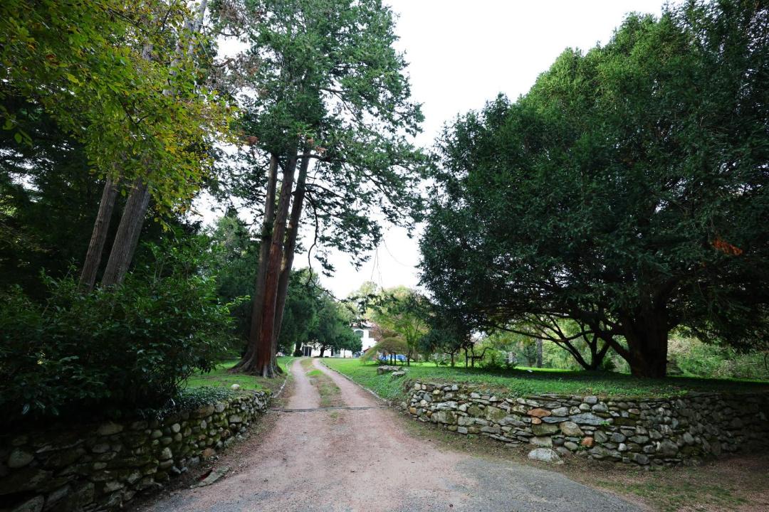 Photo of Others in Somma Lombardo