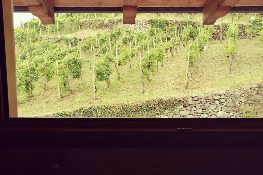 Photo of Others in Berbenno di Valtellina