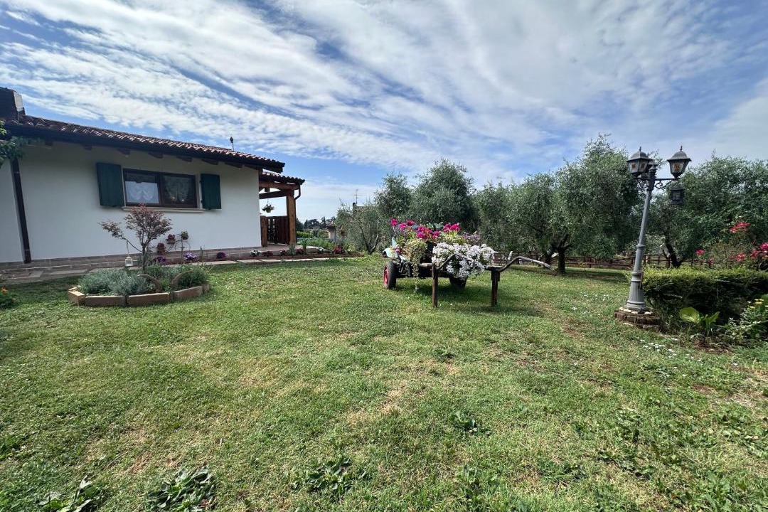 Photo of Others in Paitone