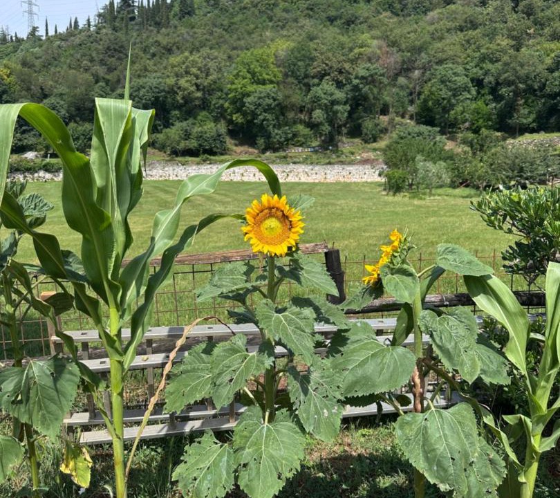 Photo of Outdoor in Paitone