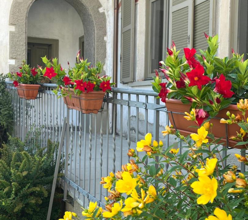 Photo of Patio Balcony in Monno