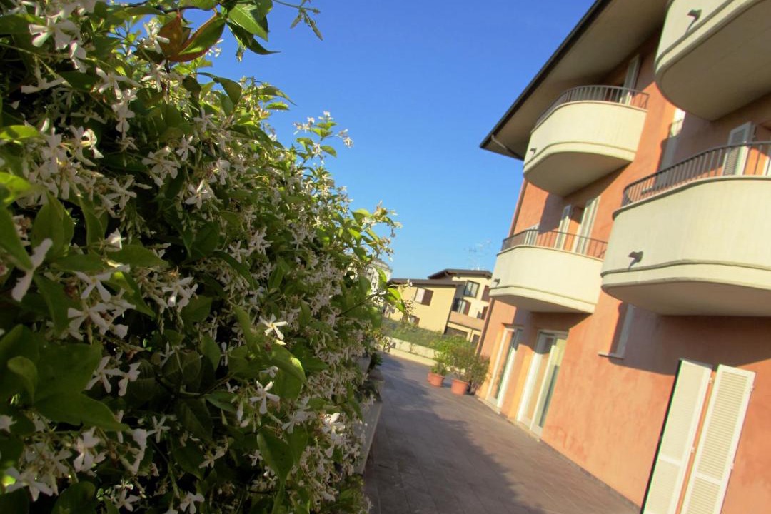Photo of Buildings in Mantua