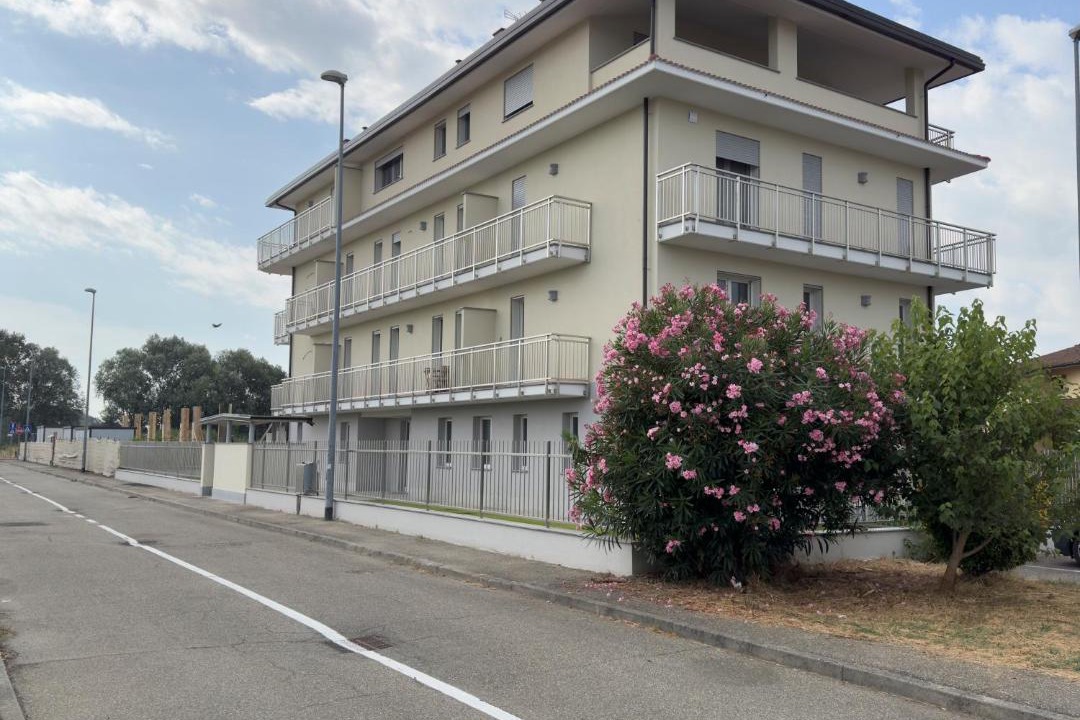 Photo of Others in San Martino Siccomario
