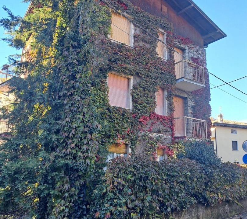 Photo of Others in Magreglio