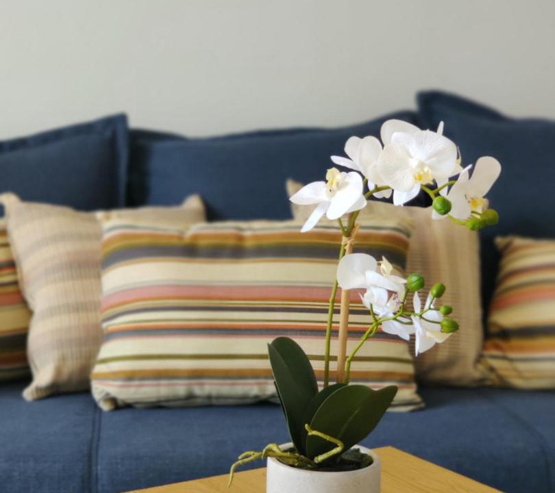 Photo of Livingroom in Marone