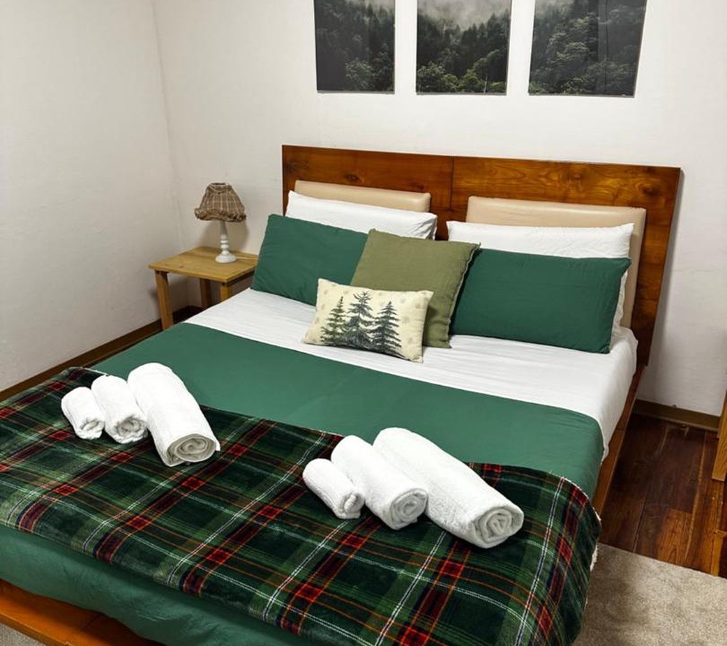 Photo of Bedroom in Branzi