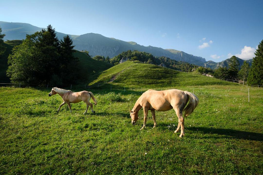 Photo of Others in Castione della Presolana