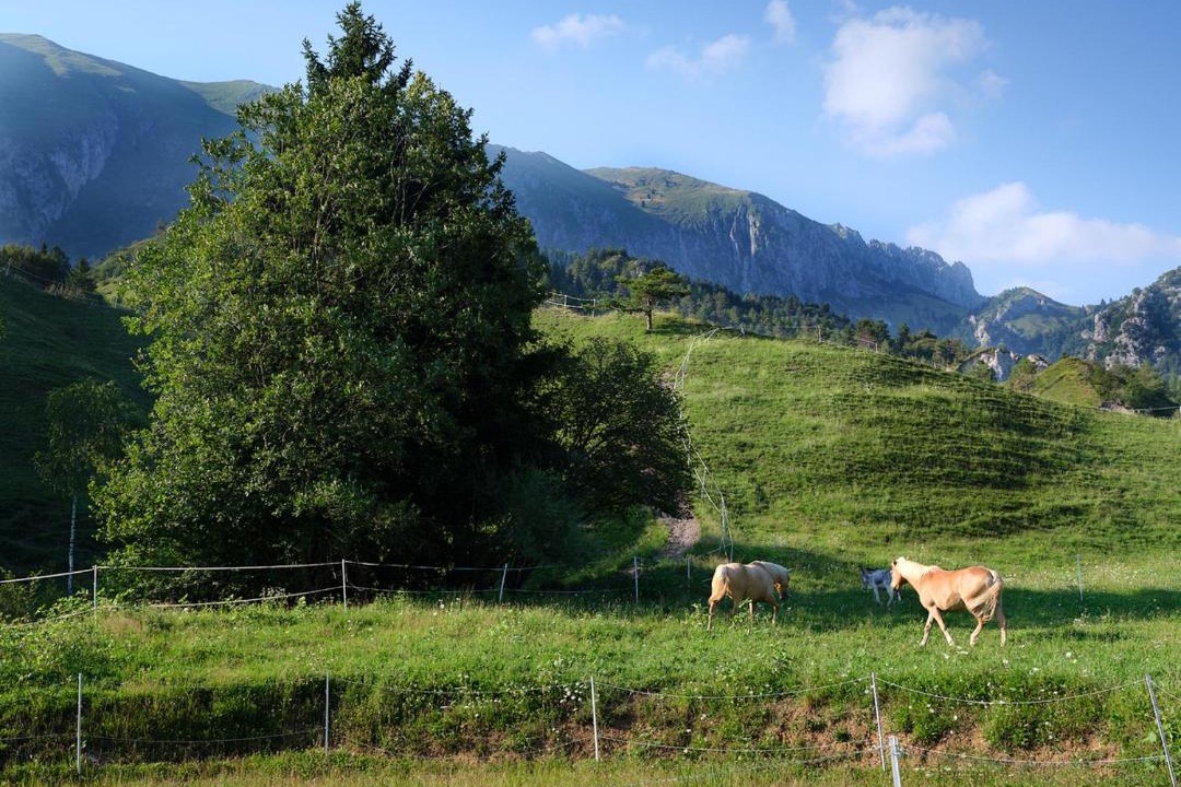 Photo of Others in Castione della Presolana