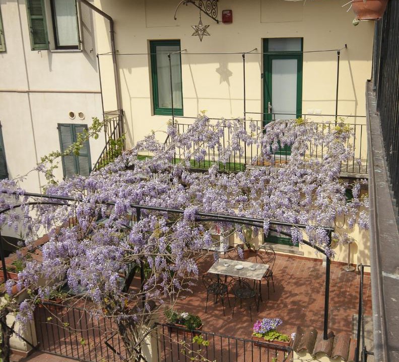 Photo of Others in Busto Arsizio
