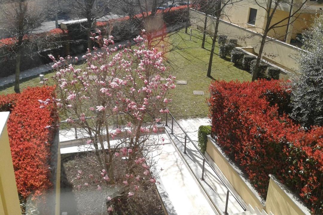 Photo of Others in Santo Stefano Ticino