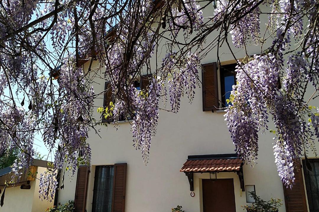 Photo of Others in Carbonara al Ticino