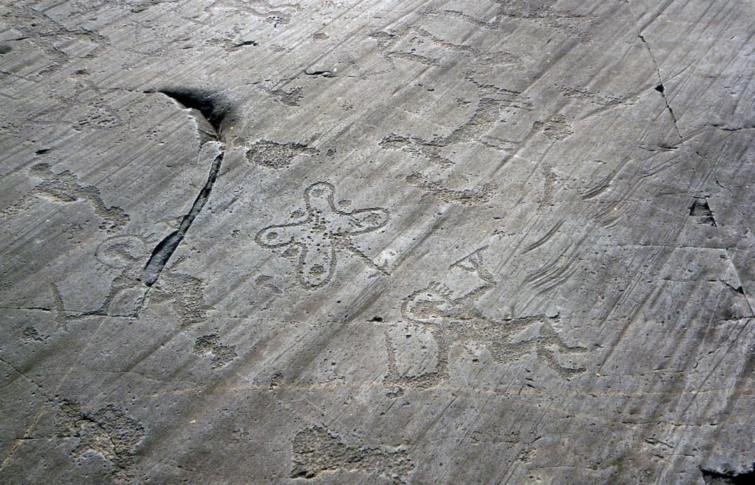 Photo of Others in Cimbergo