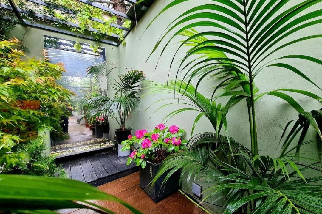 Photo of Patio Balcony in Portello
