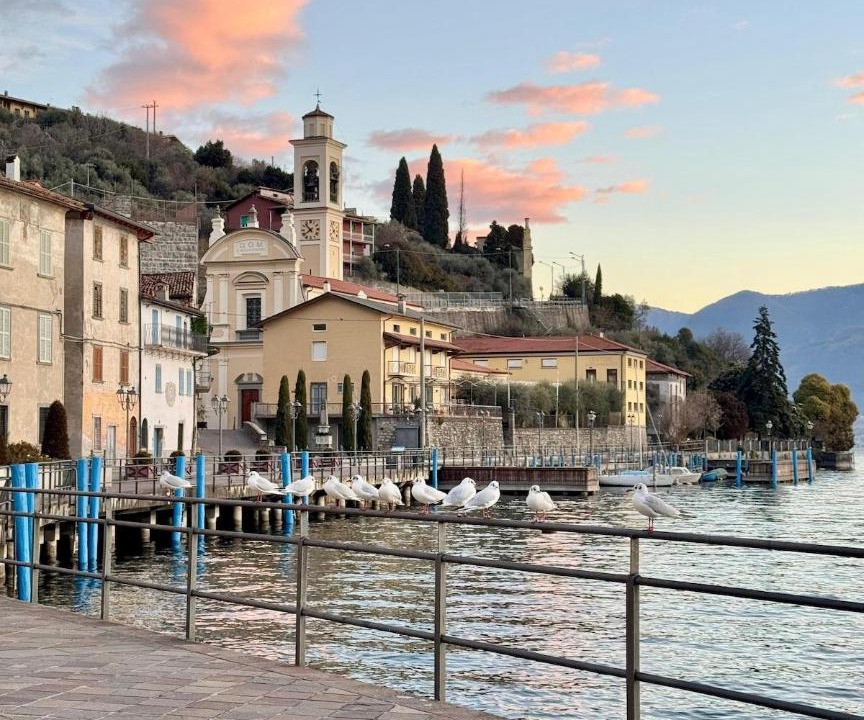 Photo of Others in Zorzino