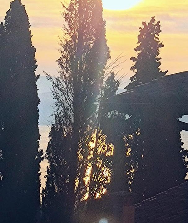Photo of Others in Gardone Riviera
