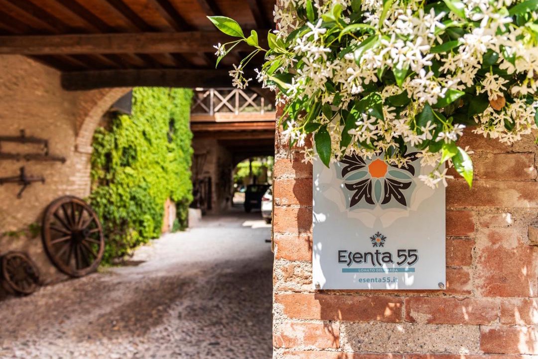 Photo of Others in Lonato del Garda