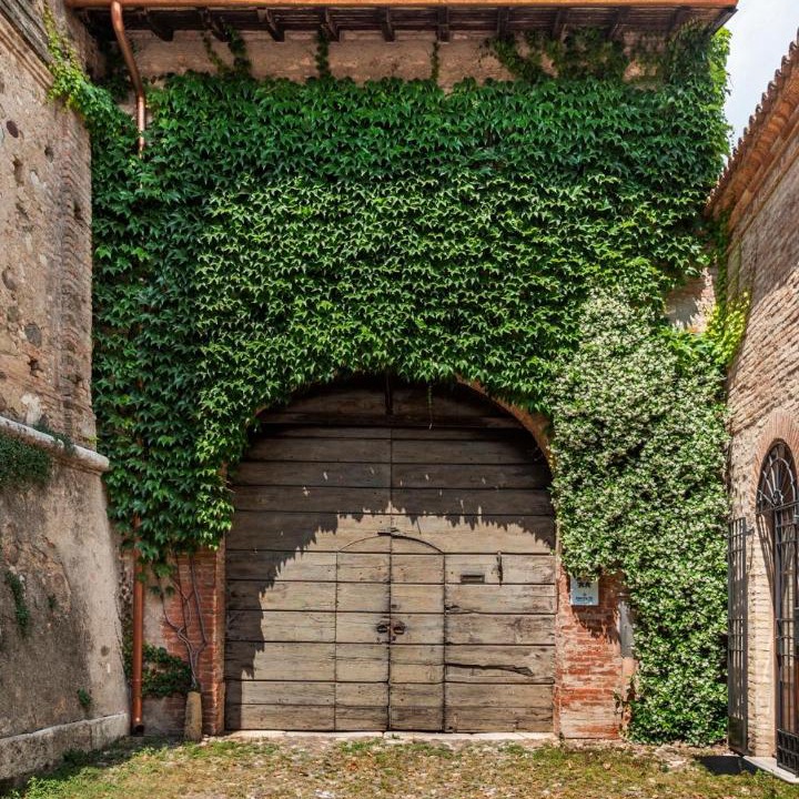 Photo of Others in Lonato del Garda
