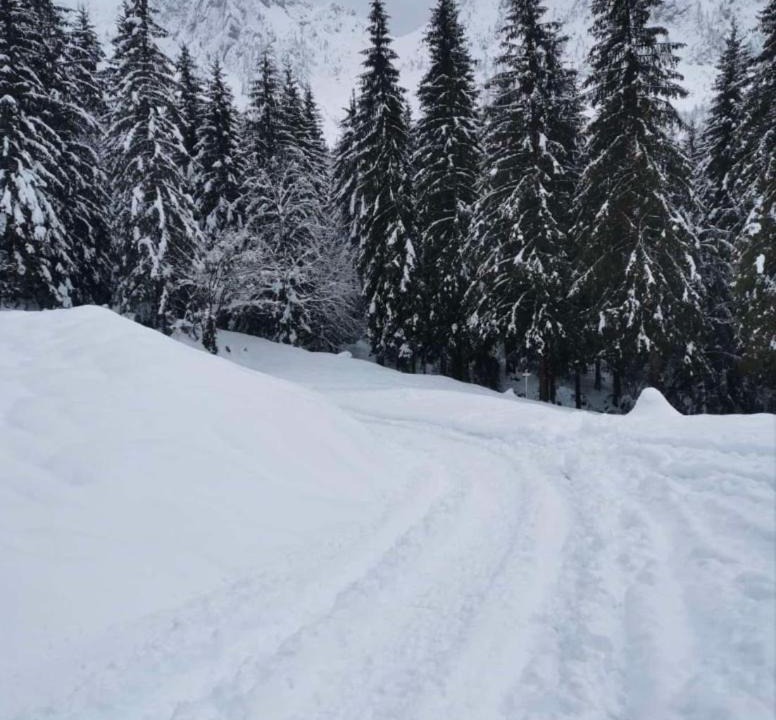 Photo of Others in Schilpario