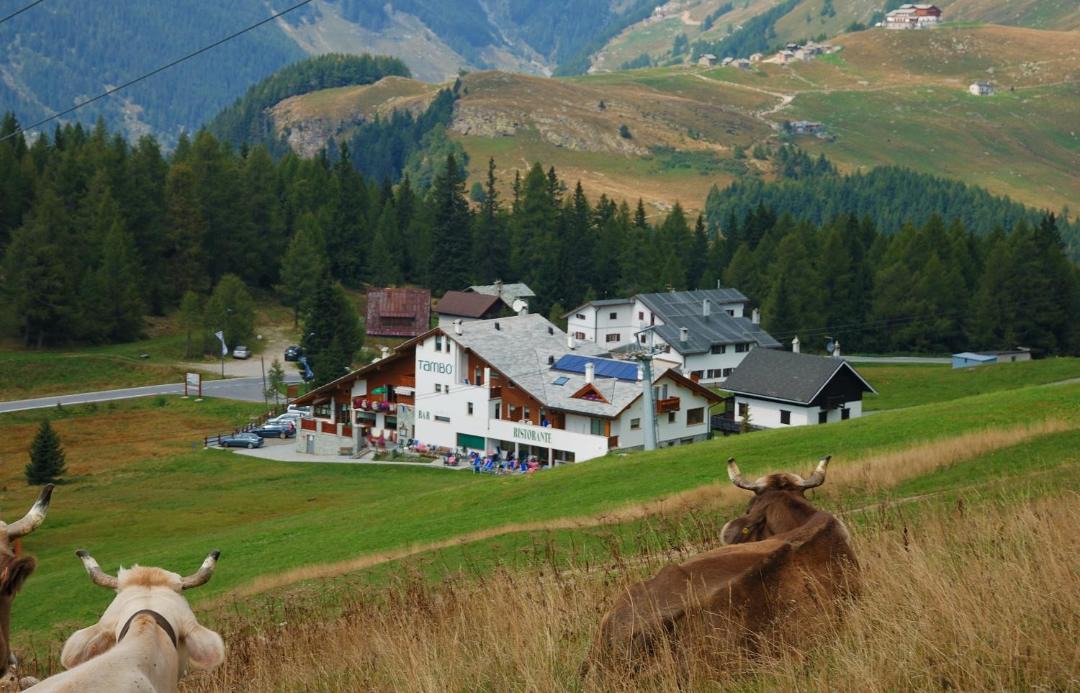 Photo of Others in Campodolcino