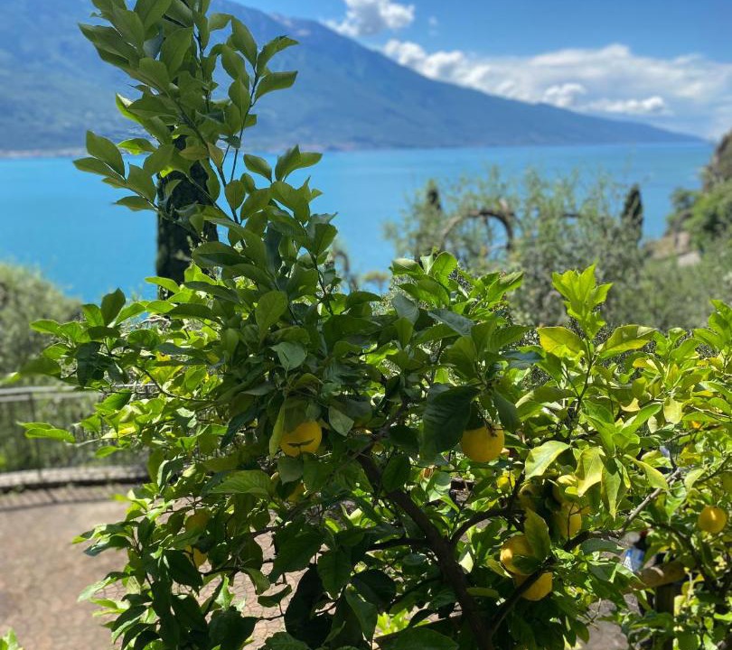 Photo of Others in Limone sul Garda