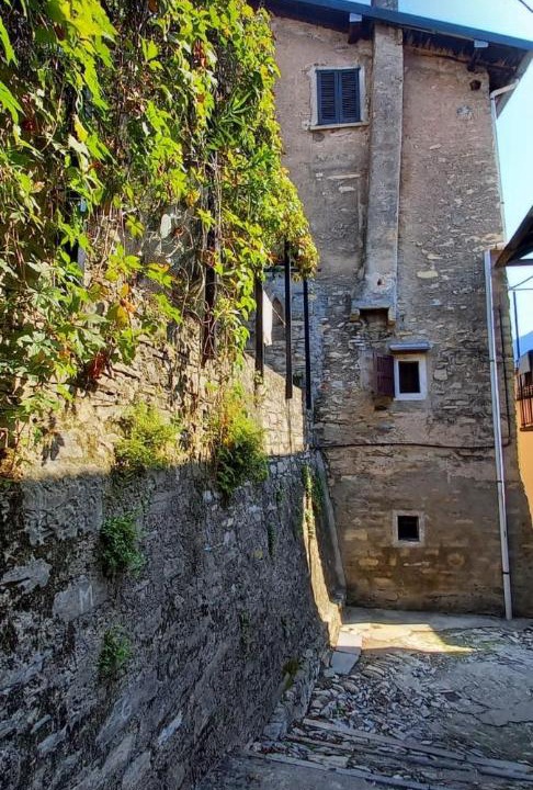 Photo of Others in Moltrasio