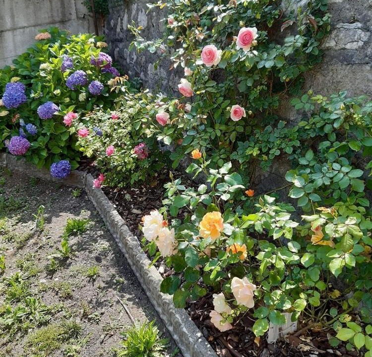 Photo of Outdoor in Vassena