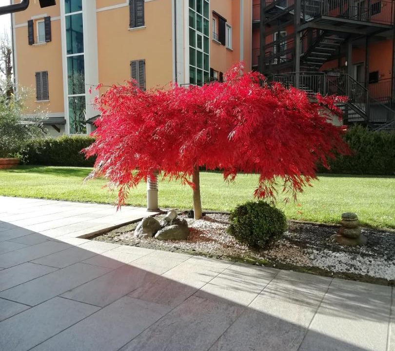 Photo of Others in Madonna di Tirano