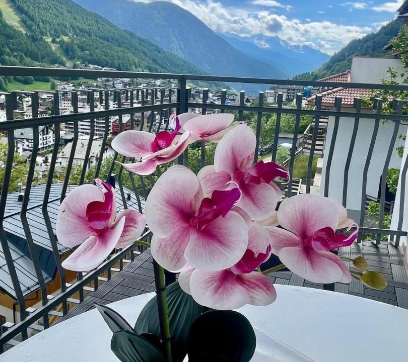 Photo of Patio Balcony in Aprica