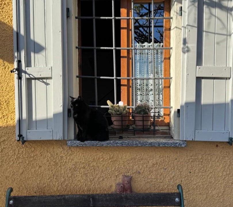 Photo of Others in Montecalvo Versiggia