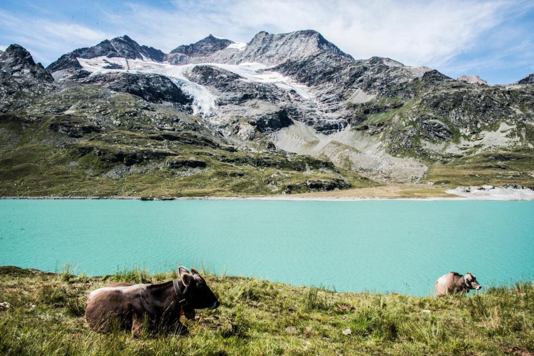 Photo of Others in Tirano