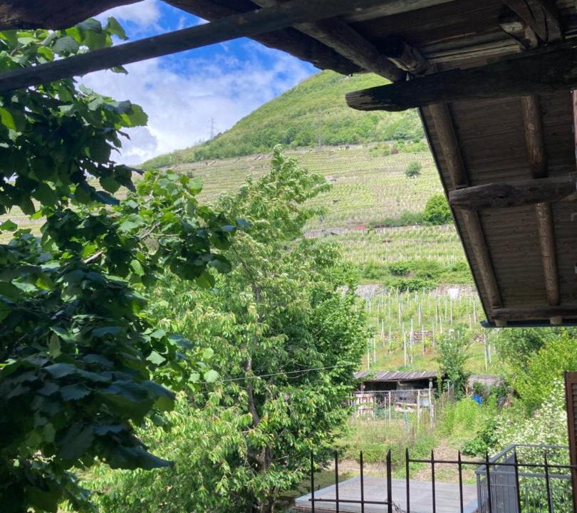Photo of Others in Valtellina