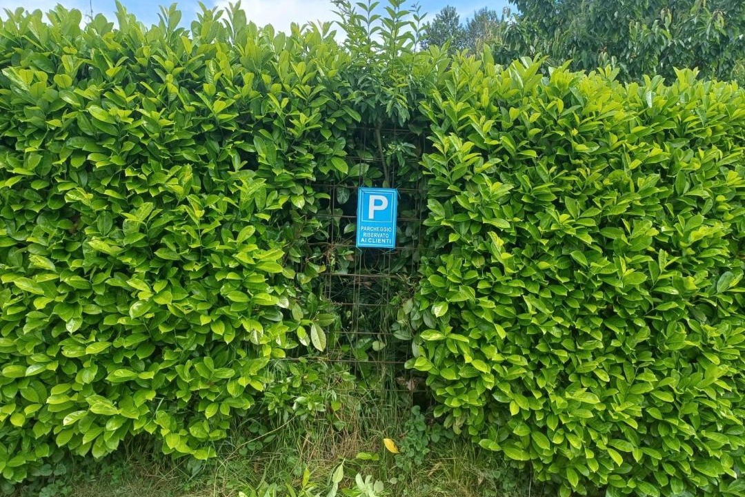 Photo of Outdoor in Villanuova sul Clisi