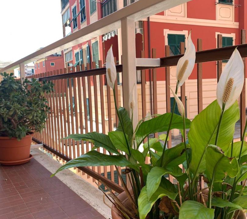 Photo of Patio Balcony in Rondo - Torretta