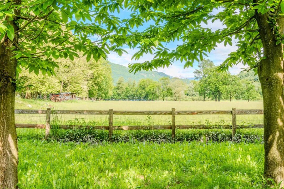 Photo of Outdoor in Carlazzo