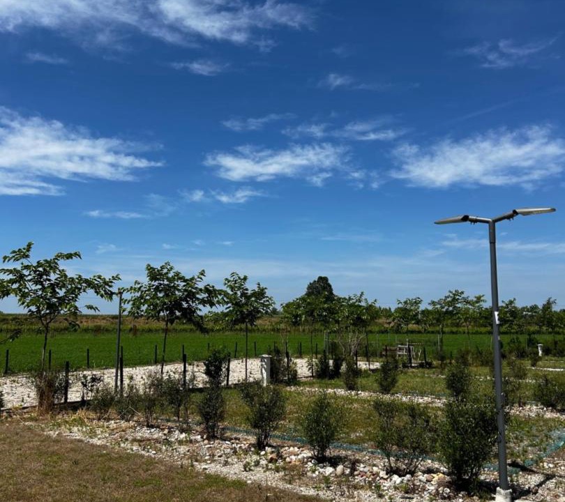 Photo of Outdoor in Goito