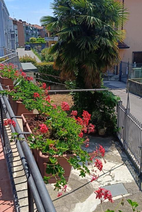 Photo of Others in Azzano San Paolo