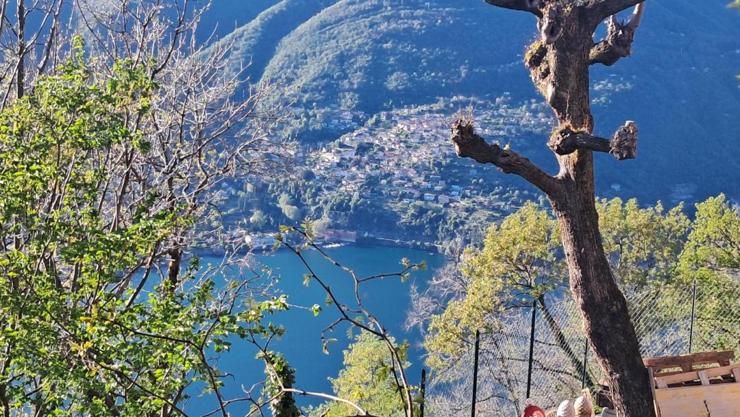 Photo of Others in Brunate