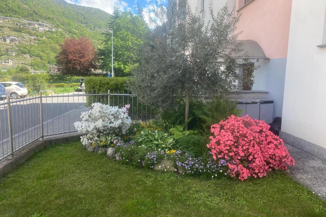 Photo of Others in Morbegno