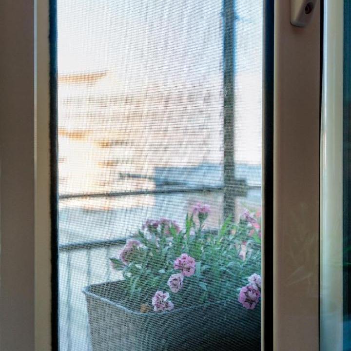 Photo of Patio Balcony in Barona