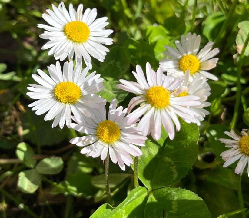 Photo of Outdoor in Assago