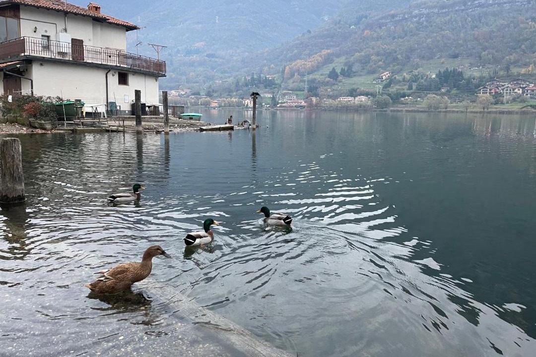 Photo of Others in Ranzanico