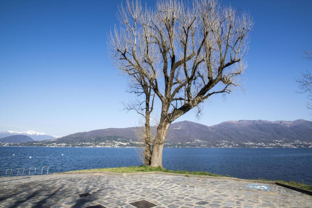 Photo of Others in Castello