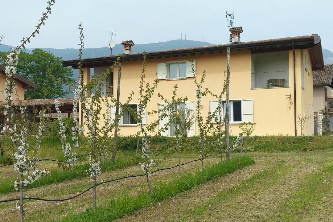 Photo of Others in Villanuova sul Clisi