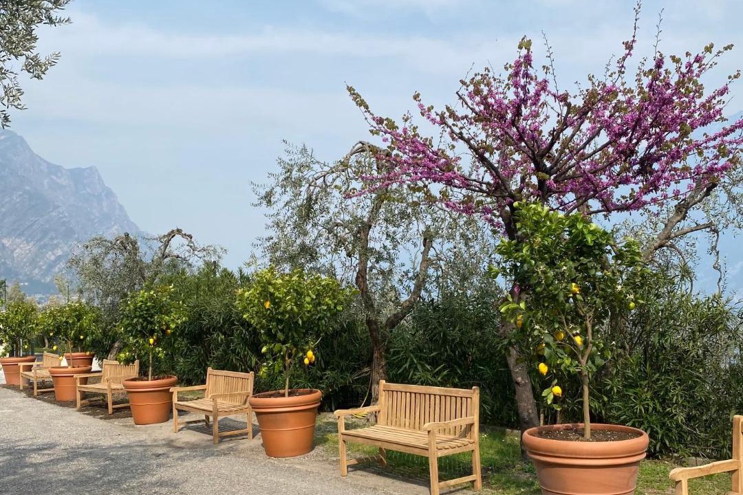 Photo of Others in Limone sul Garda