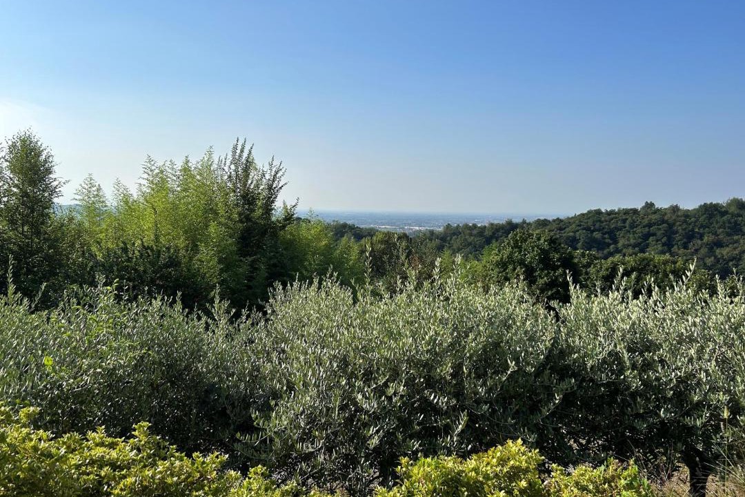 Photo of Others in Almenno San Bartolomeo
