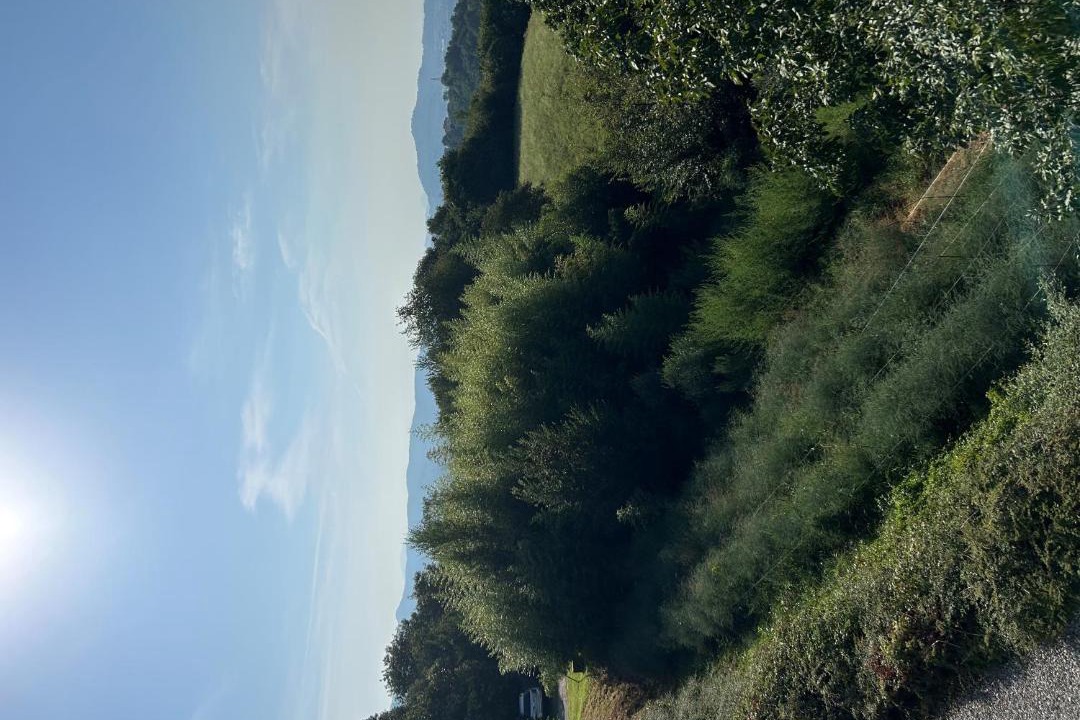 Photo of Others in Almenno San Bartolomeo