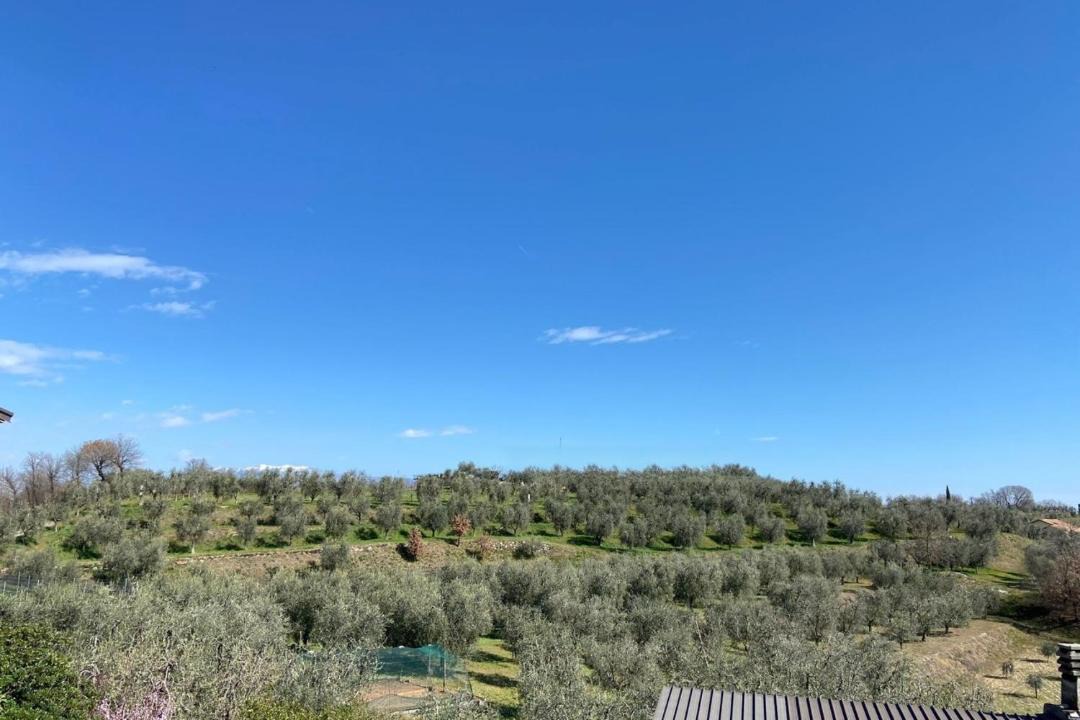 Photo of Others in Puegnago del Garda