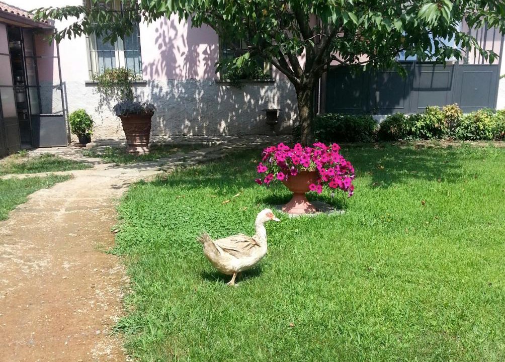Photo of Outdoor in Pregnana Milanese