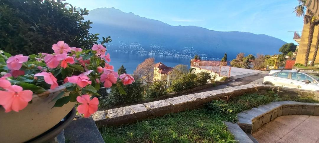 Photo of Others in Pino Lago Maggiore