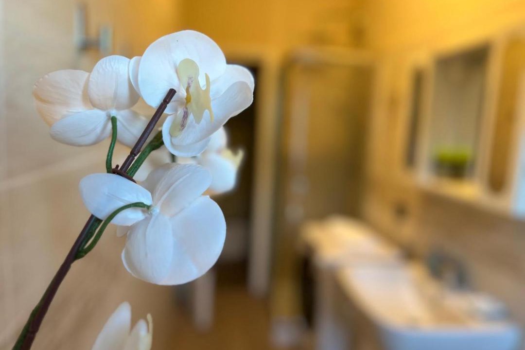 Photo of Bathroom in Varese